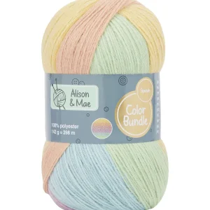 Alison & Mae Specials Breigaren Color Bundle Meerkleurig New