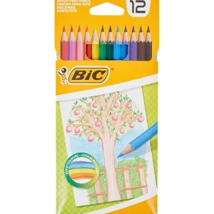 BIC Kleurpotloden Meerkleurig Discount