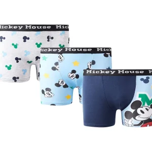 Paw Patrol Boxershorts Print Flash Sale