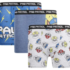 Paw Patrol Boxershorts Print Flash Sale