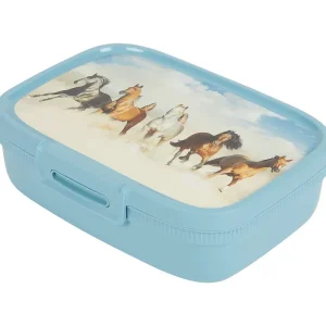 Curver Lunchbox Met Print Blauw,Geel,Groen,Roze Clearance