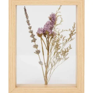 Merk Home Accents Fotolijst Met Droogbloemen Beige,Meerkleurig Best Sale