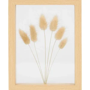 Merk Home Accents Fotolijst Met Droogbloemen Beige,Meerkleurig Best Sale