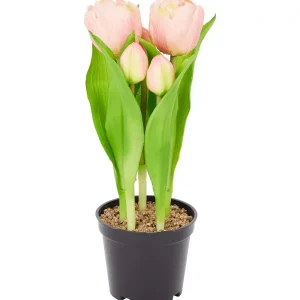 Merk Home Accents Kunsttulpen In Pot Geel,Meerkleurig,Rood,Roze,Wit Discount