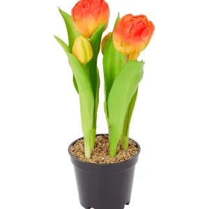 Merk Home Accents Kunsttulpen In Pot Geel,Meerkleurig,Rood,Roze,Wit Discount