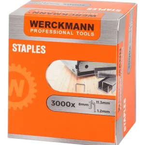 Werckmann Nietjes Zilver Shop