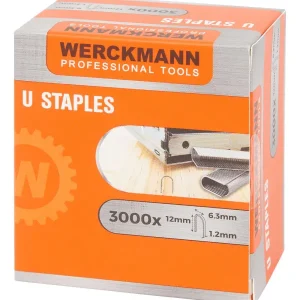 Werckmann Nietjes Zilver Shop